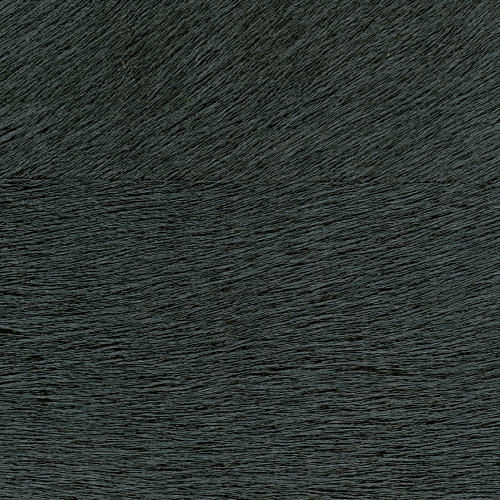 ÉLITIS Indomptée Movida - Braver les normes