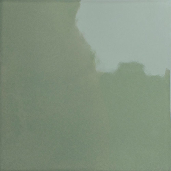 WOW BITS KALE GLOSS 11,6x11,6cm (0,507m² par boite)