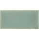 WOW FAYENZA FERN GLOSS 6,2x12,5cm (0,5m² par boite)