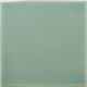 WOW FAYENZA SQUARE FERN GLOSS 12,5x12,5cm (0,494m² par boite)