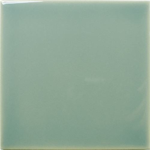 WOW FAYENZA SQUARE FERN GLOSS 12,5x12,5cm (0,494m² par boite)