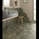 EQUIPE HERITAGE JUNGLE 17,5X20CM (0,71m² par boite)
