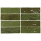 EQUIPE LA RIVIERA BOTANICAL GREEN 6,5X20CM (0,5m² par boite)