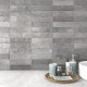 EQUIPE TRIBECA GREY WHISPER 6X24,6CM (0,5m² par boite)