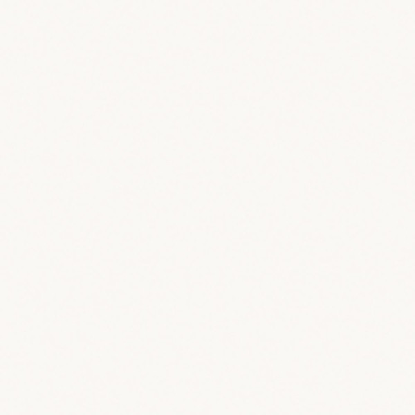 EQUIPE BAUHOME WEISS 20X20CM (1m² par boite)