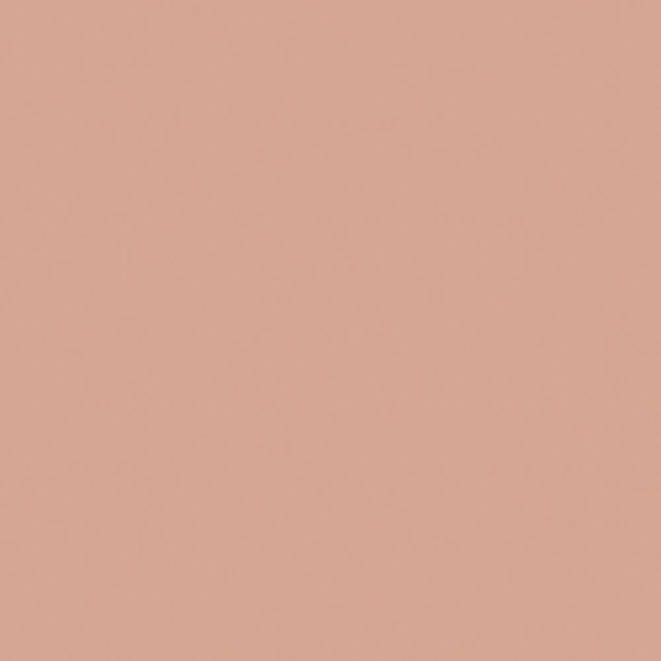 EQUIPE BAUHOME ROSE 20X20CM (1m² par boite)