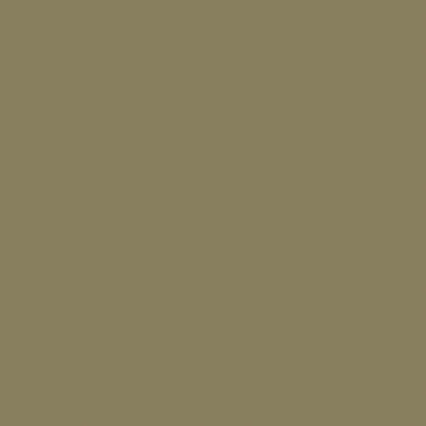 EQUIPE BAUHOME GRÜN 20X20CM (1m² par boite)
