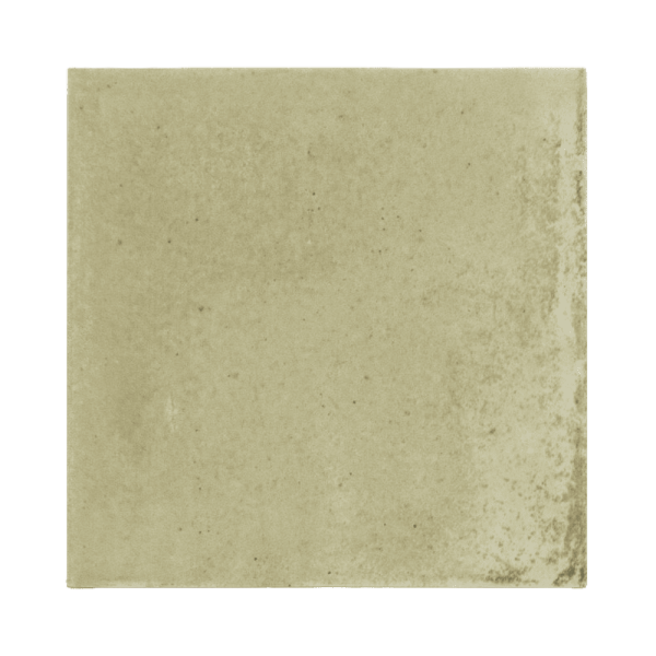 EQUIPE RAKU SAGE 10X10CM (0,5m² par boite)