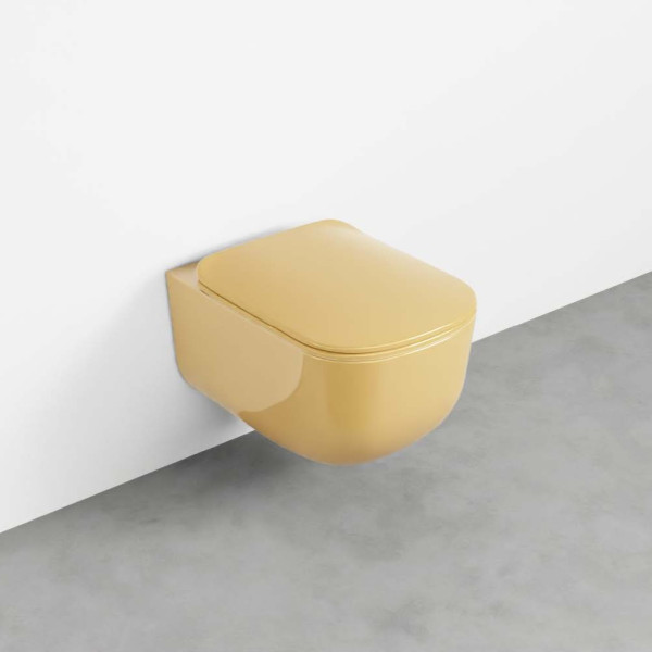 CIELO Era WC Suspendu sans bride Anemone 37x53x33cm
