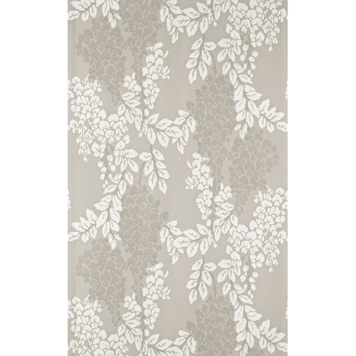 Wisteria BP 2202