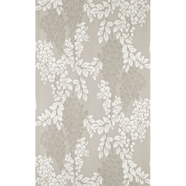 Wisteria BP 2202