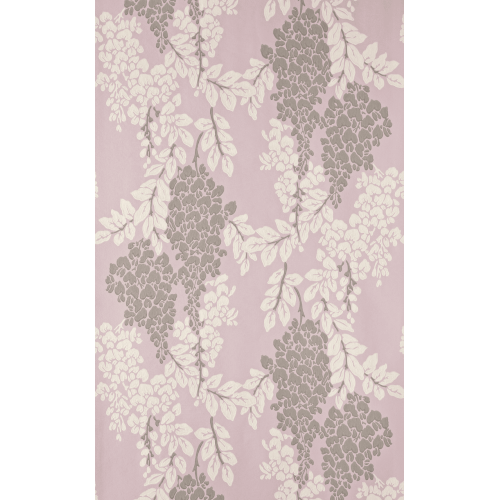 Wisteria BP 2209