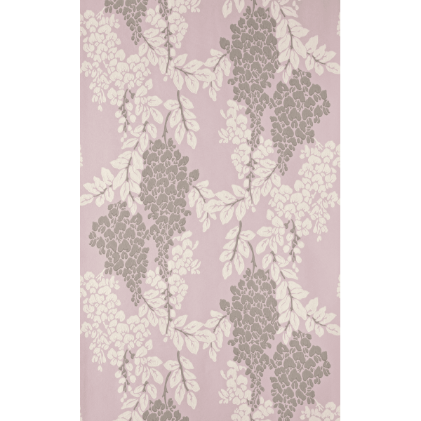 Wisteria BP 2209