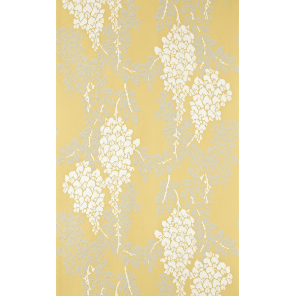 Wisteria BP 2212