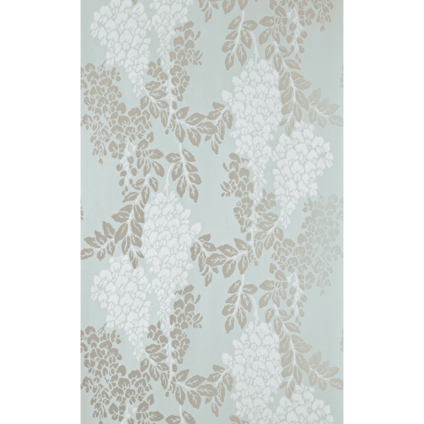 Wisteria BP 2214