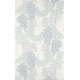 Wisteria BP 2217