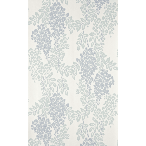 Wisteria BP 2217