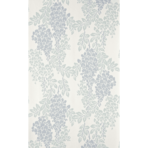 Wisteria BP 2217