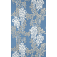 Wisteria BP 2218