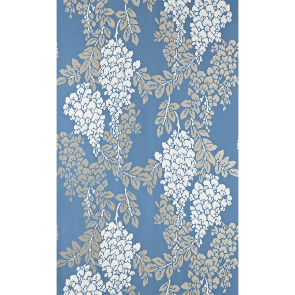 Wisteria BP 2218
