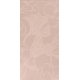 Helleborus BP 5603
