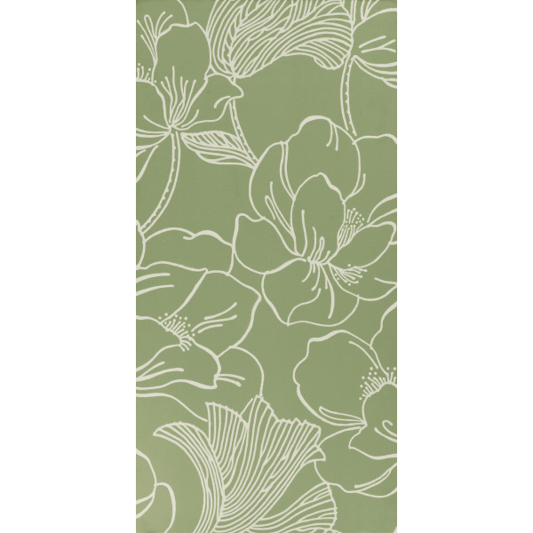 Helleborus BP 5606