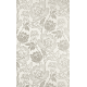 Peony BP 2303