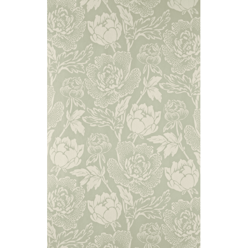 Peony BP 2313
