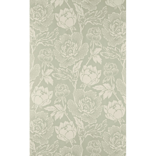 Peony BP 2313
