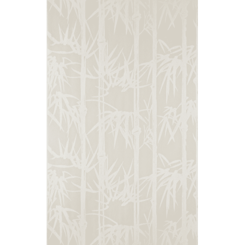 Bamboo BP 2107