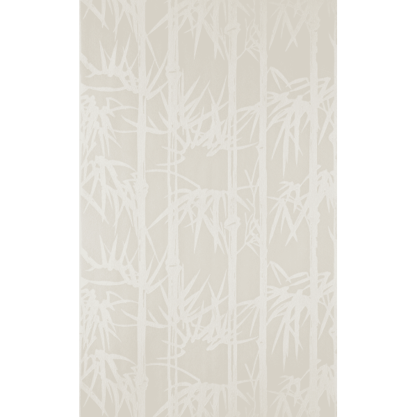 Bamboo BP 2107