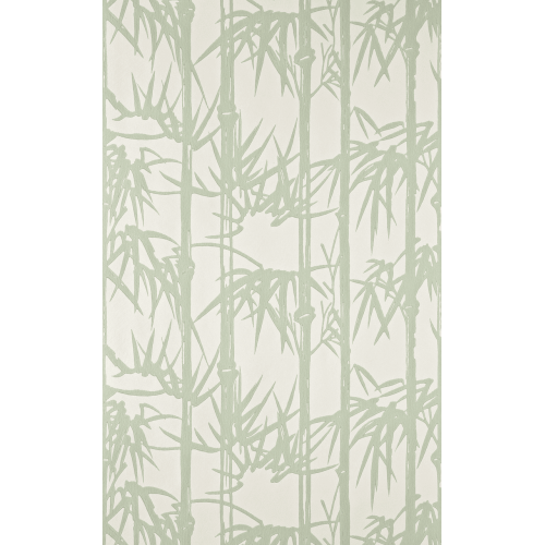 Bamboo BP 2139