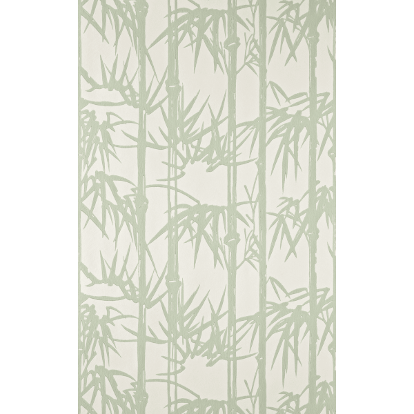 Bamboo BP 2139