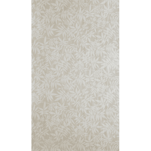 Jasmine BP 3901