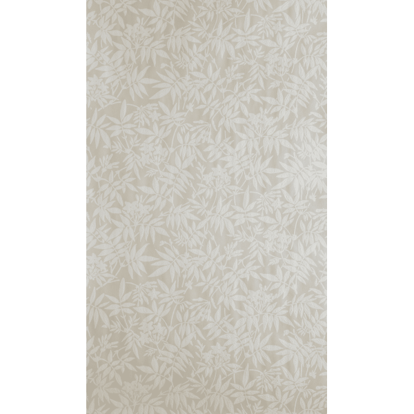 Jasmine BP 3901