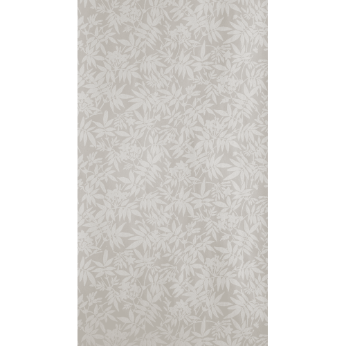 Jasmine BP 3902