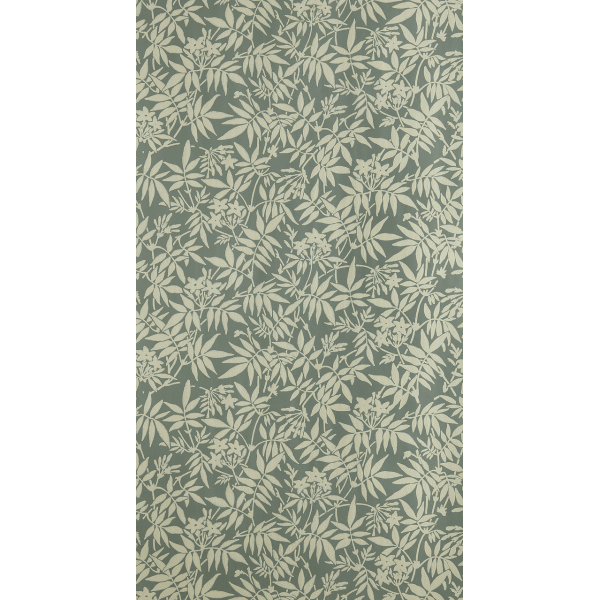 Jasmine BP 3905