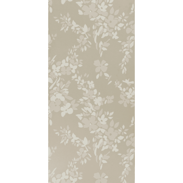 Hegemone BP 5701