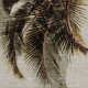 ÉLITIS Raffia & Madagascar Madagascar - Étoiles filantes