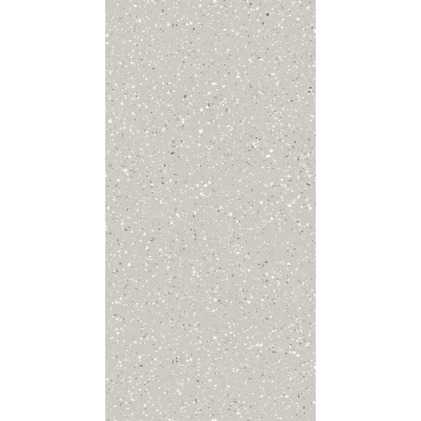 NADIS POLS GRAY 30x60cm (1,07m² par boite)