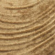 ÉLITIS Le jardin d'Aloès Palimpseste - La richesse du temps