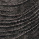 ÉLITIS Le jardin d'Aloès Palimpseste - Vestiges de la lumière