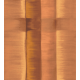 ÉLITIS Tribus Carthagène - Une ombre légère dans la lumière (panoramique)