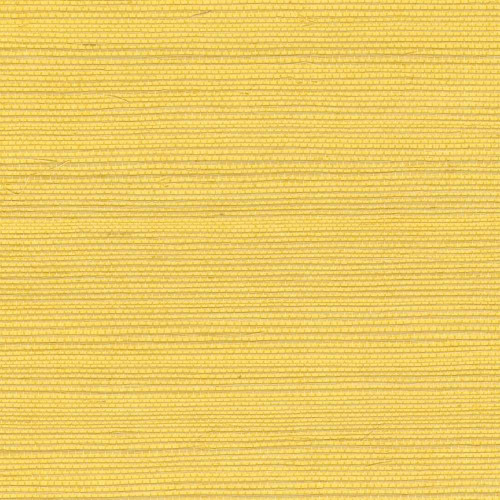 ÉLITIS Tribus Sisal - Énergie solaire