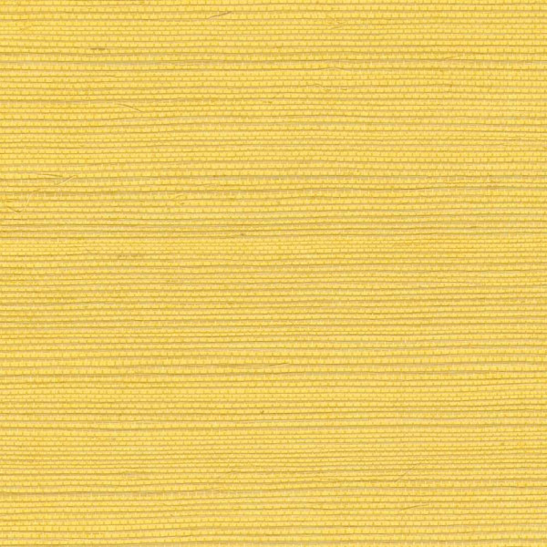 ÉLITIS Tribus Sisal - Énergie solaire