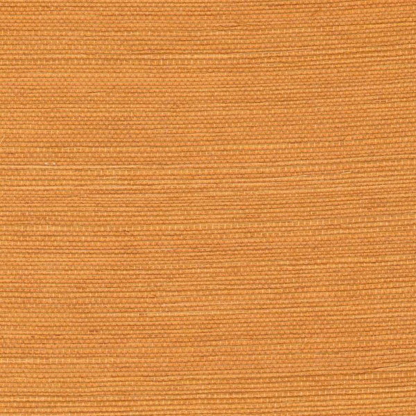 ÉLITIS Tribus Sisal - Dorée au soleil