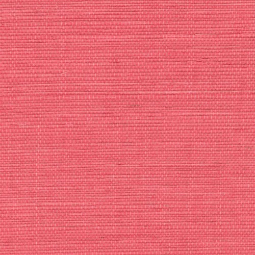 ÉLITIS Tribus Sisal - Enchanter les regards