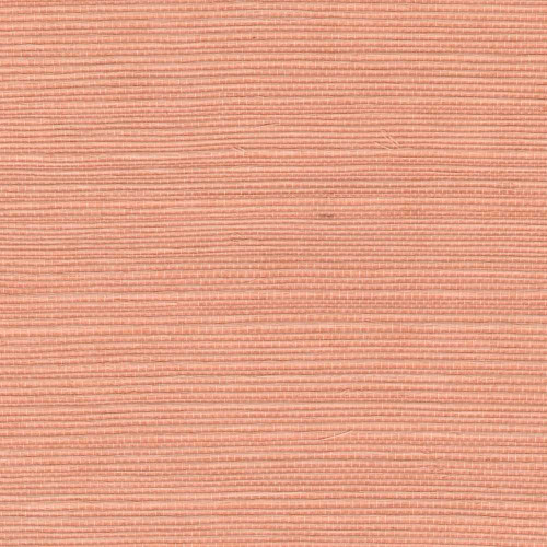 ÉLITIS Tribus Sisal - Saveurs sucrées
