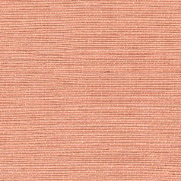 ÉLITIS Tribus Sisal - Saveurs sucrées