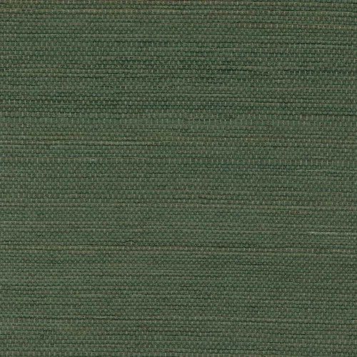 ÉLITIS Tribus Sisal - Au milieu de la garrigue
